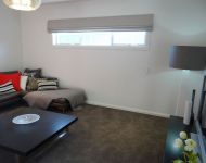 Hard Roman Blinds